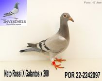 POR 22-2242097